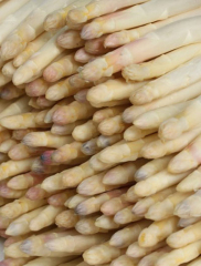Canned white Asparagus