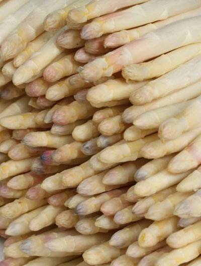 Canned white Asparagus