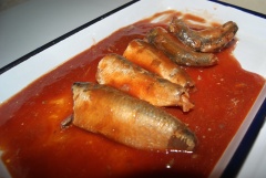 Canned Sardines in tomato sauce