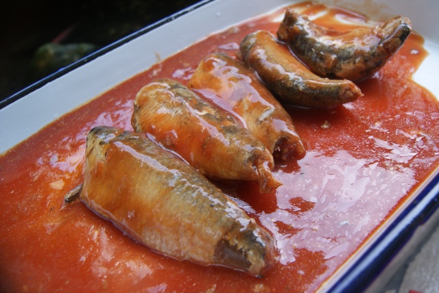 Canned Sardines in tomato sauce