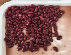 Canned red kidney beans