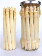 Canned white Asparagus