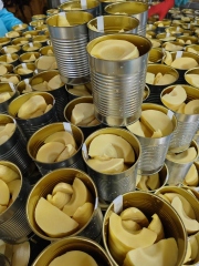 Canned Bamboo Shoot Halves