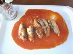 Canned Sardines in tomato sauce
