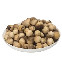 Canned Straw mushroom
