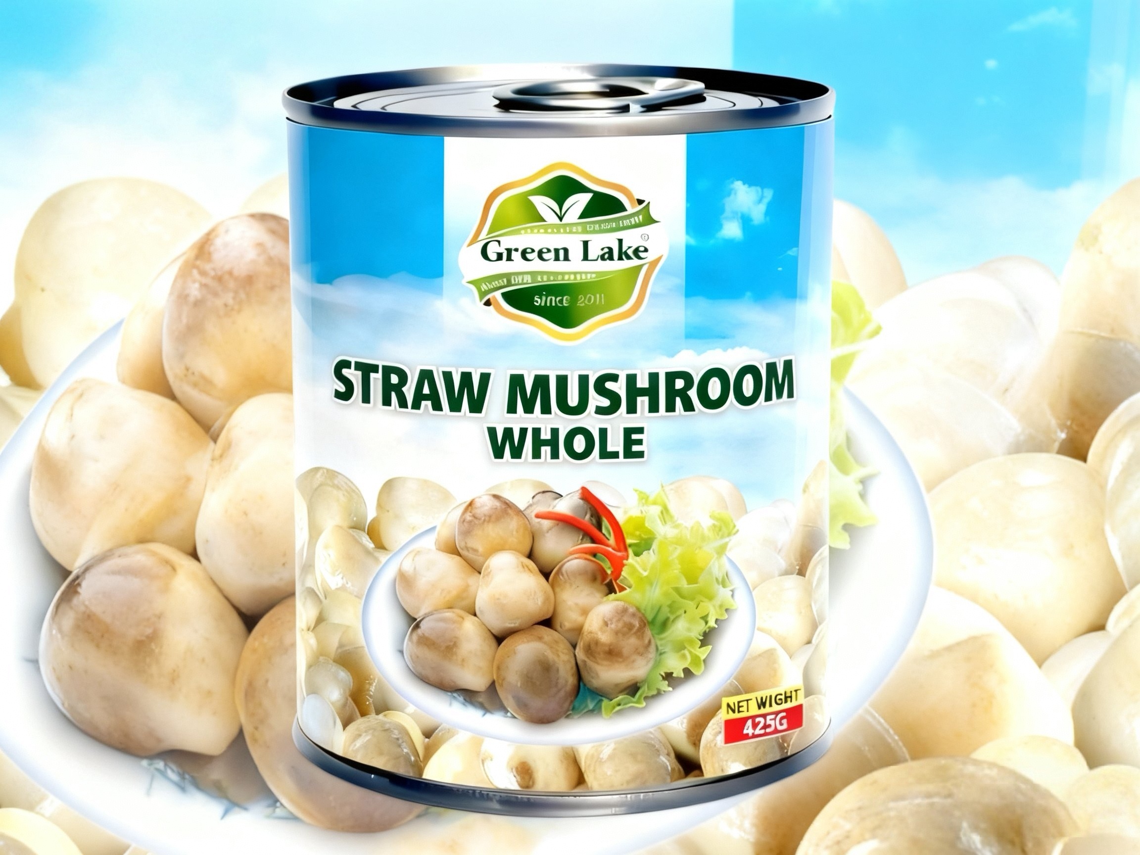 Canned Straw mushroom