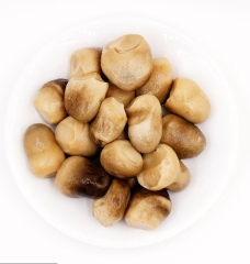 Canned Straw mushroom