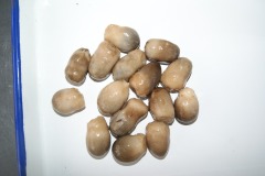 Canned Straw mushroom