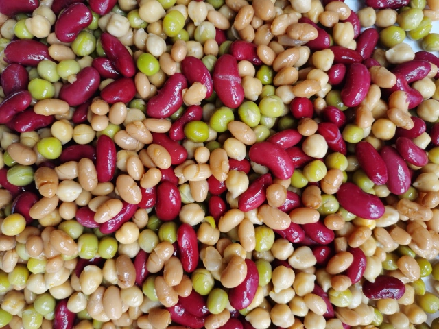 Canned Five Bean Mixed