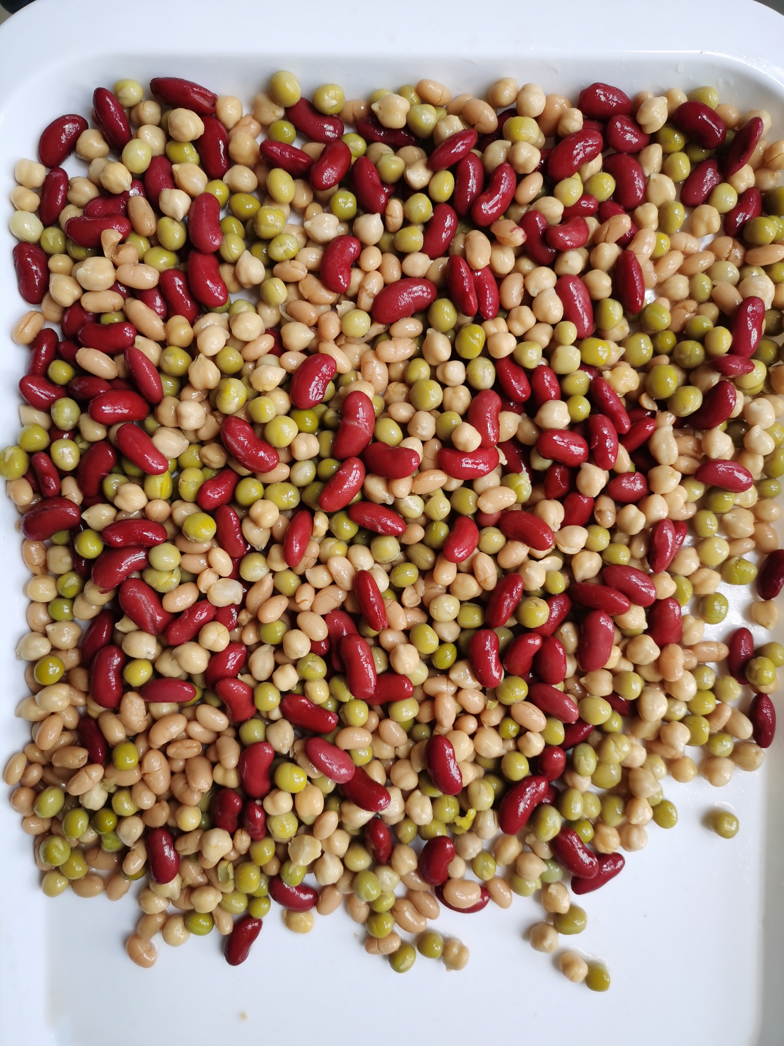 Canned Five Bean Mixed
