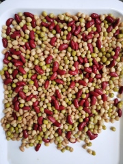 Canned Five Bean Mixed