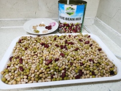 Canned Five Bean Mixed