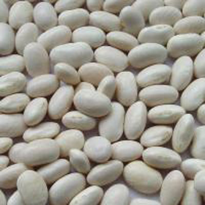 Canned White Beans