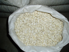 Canned White Beans