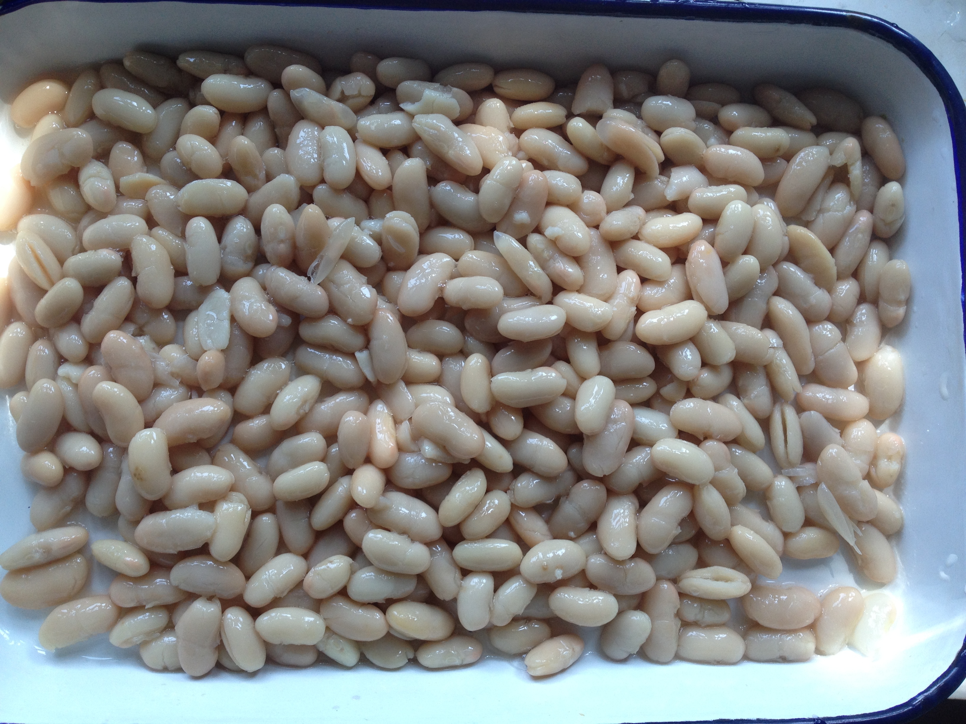 Canned White Beans