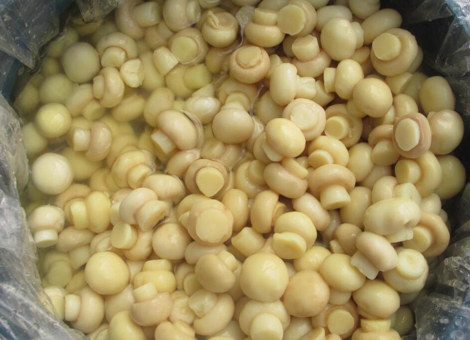 50kgs Drumed Mushroom in SO2