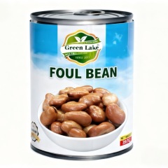 Canned Broad beans