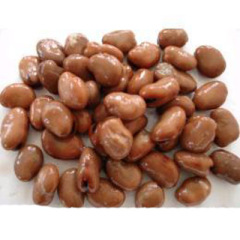 Canned Broad beans