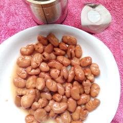 Canned Broad beans