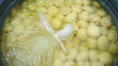 50kgs Drumed Mushroom in SO2