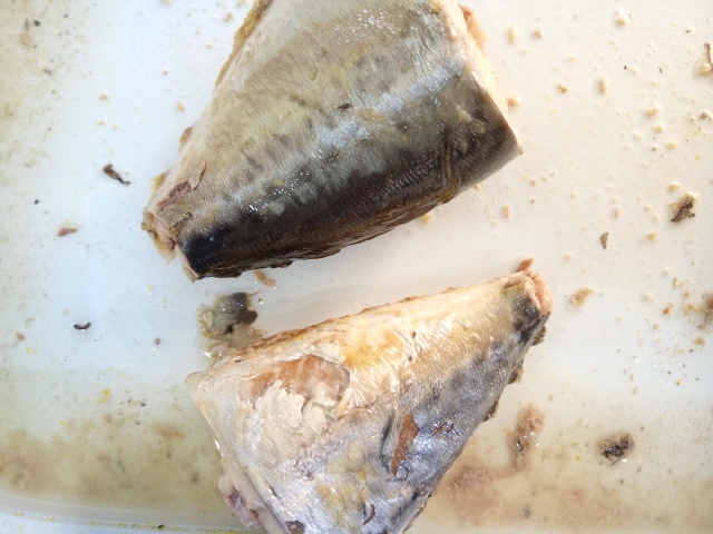 Canned Mackerel in Oil