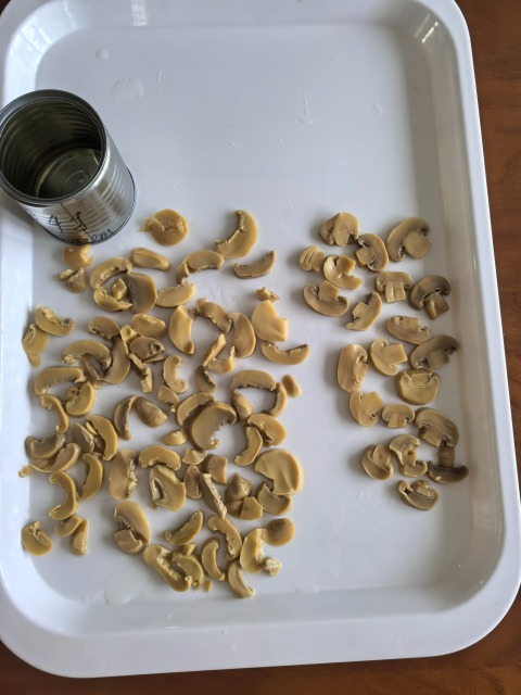 Canned Champignon Mushrooms Pieces & Stems