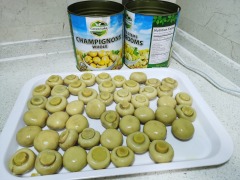 Canned Champignon Mushrooms Whole