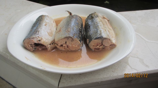 Canned Mackerel in Oil