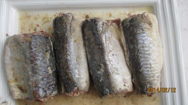 Canned Mackerel in Oil