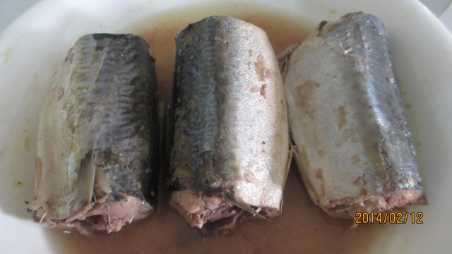 Canned Mackerel in Brine