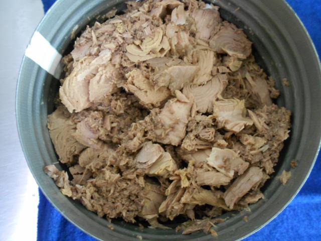 Canned Tuna Chunk