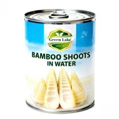 Canned Bamboo Shoot Halves
