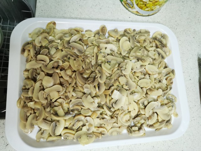 Canned Champignon Mushrooms Pieces & Stems