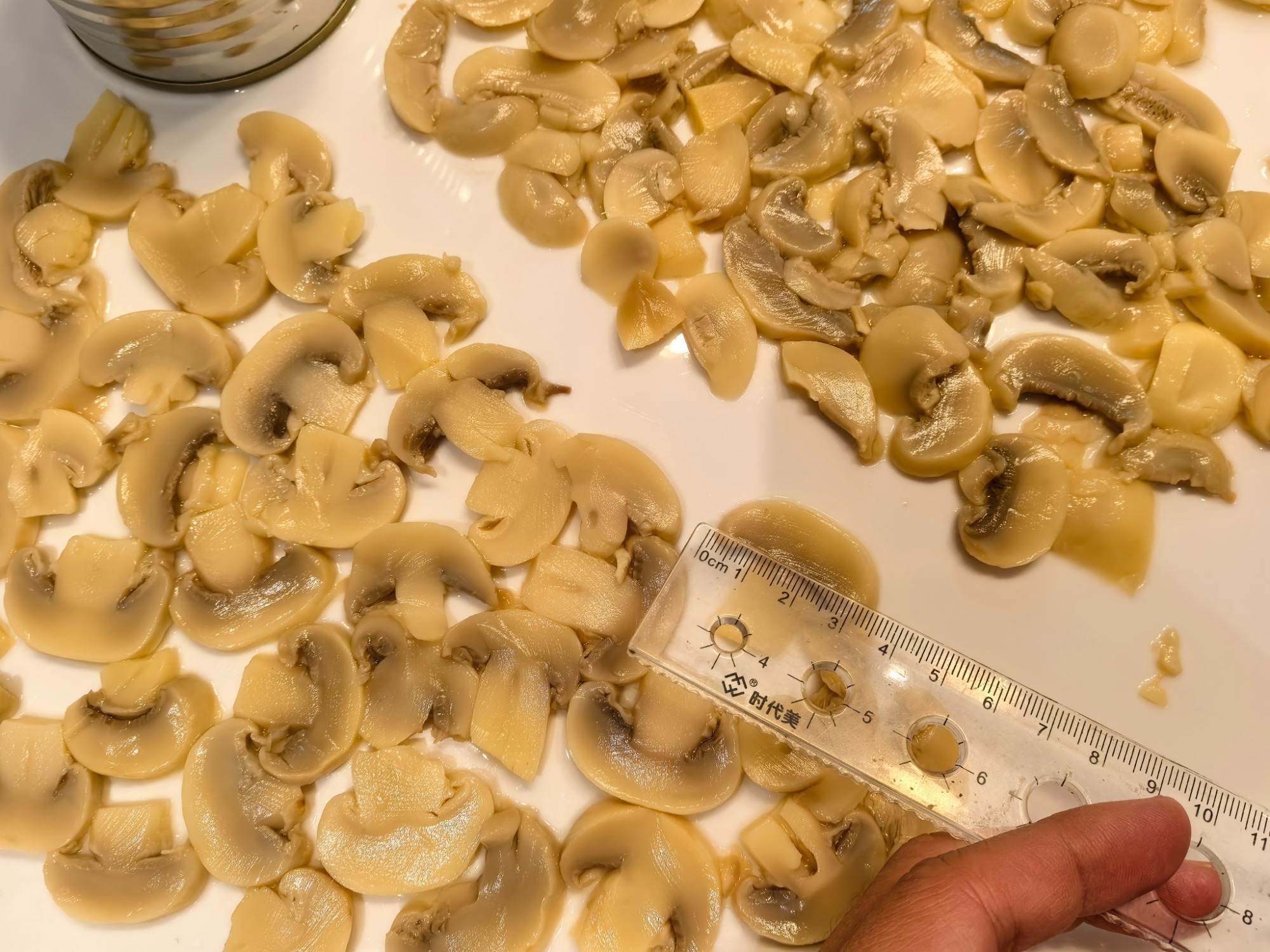 Canned Champignon Mushrooms Pieces & Stems