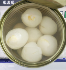 Canned Lychee whole 567g