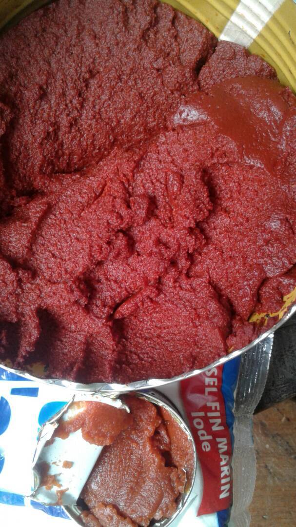 canned tomato paste