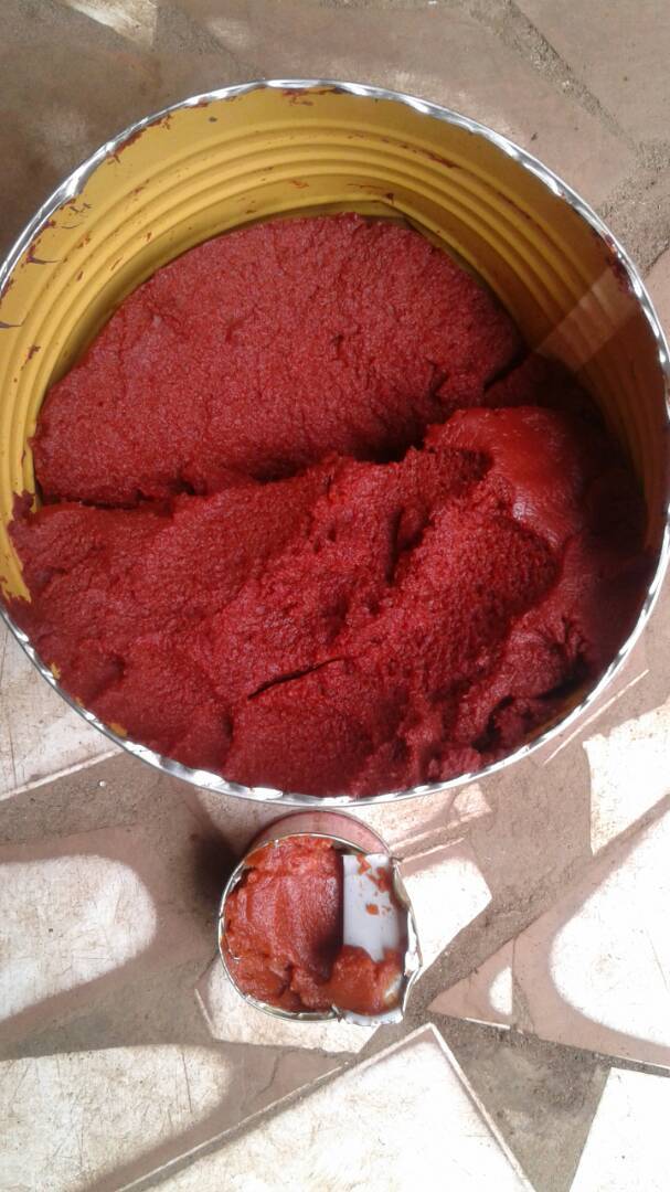 canned tomato paste