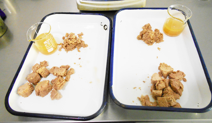 Canned Tuna Chunk
