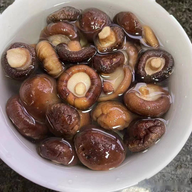 Canned Shii-take Mushroom