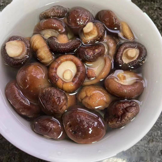 Canned Shii-take Mushroom