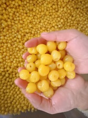 Cherries in SO2 in drum