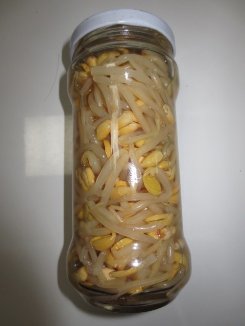 Canned Bean Sprout