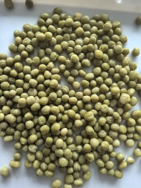 Canned green peas
