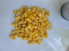 Canned sweet corn