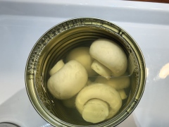 Canned Mushroom Whole