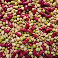 Canned Five Bean Mixed