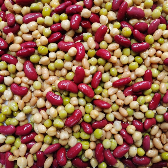 Canned Five Bean Mixed