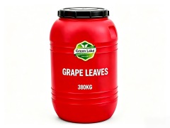 Grape leaves in drum 380kg