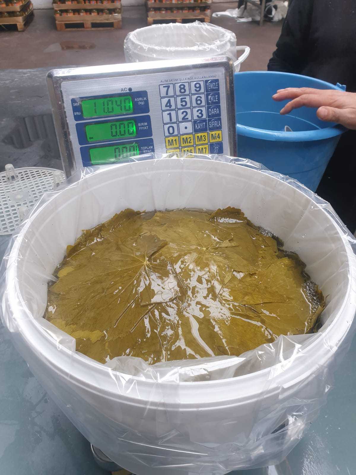 Grape Leaves in bucket