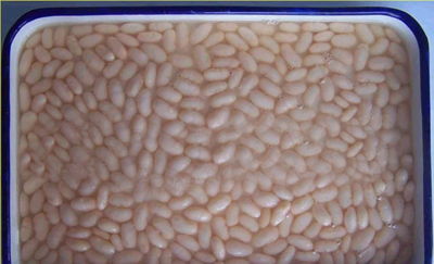 Canned White Beans